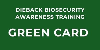 dieback green card training.